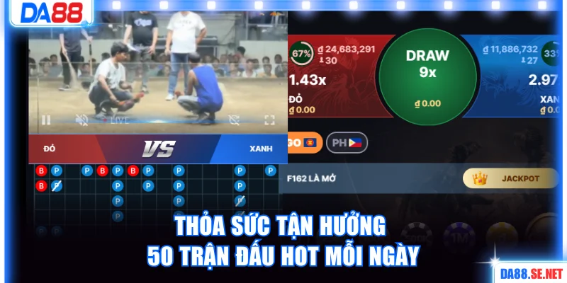 Thỏa sức tận hưởng 50 trận đấu hot mỗi ngày